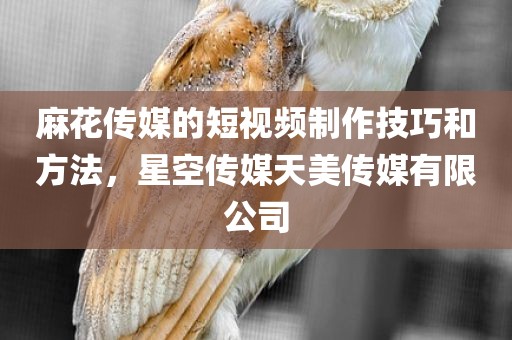 麻花传媒的短视频制作技巧和方法，星空传媒天美传媒有限公司