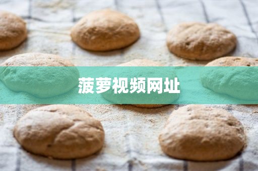 菠萝视频网址