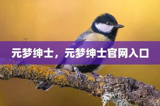 元梦绅士，元梦绅士官网入口