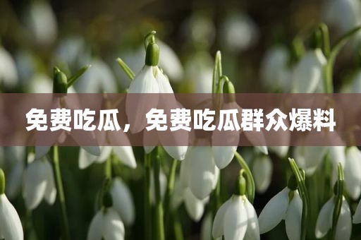 免费吃瓜，免费吃瓜群众爆料