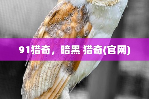 91猎奇，暗黑 猎奇(官网)