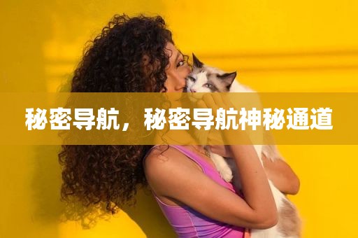 秘密导航，秘密导航神秘通道
