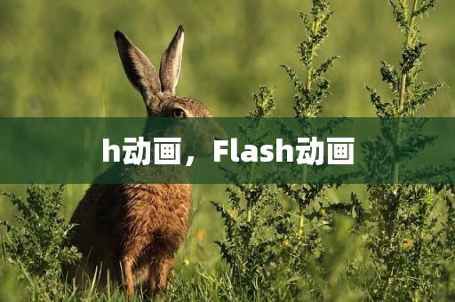 h动画，Flash动画