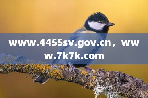 www.4455sv.gov.cn，www.7k7k.com