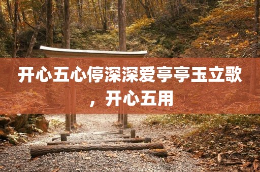 开心五心停深深爱亭亭玉立歌，开心五用