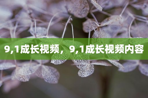 9,1成长视频，9,1成长视频内容