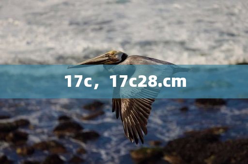 17c，17c28.cm