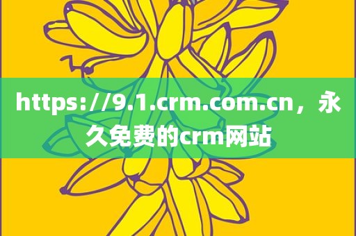 https://9.1.crm.com.cn，永久免费的crm网站