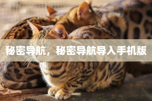 秘密导航，秘密导航导入手机版