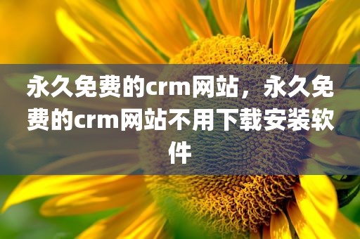 永久免费的crm网站，永久免费的crm网站不用下载安装软件