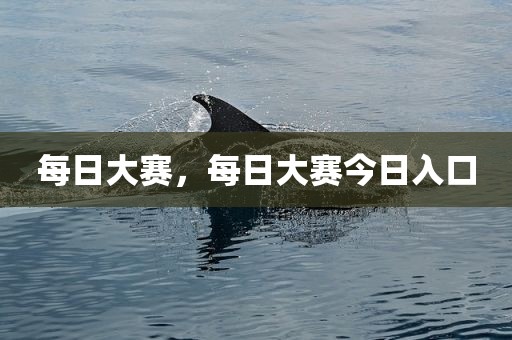 每日大赛，每日大赛今日入口