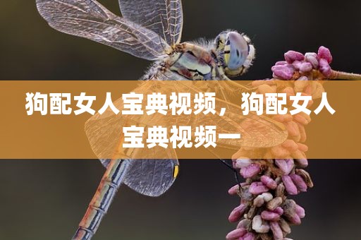 狗配女人宝典视频，狗配女人宝典视频一