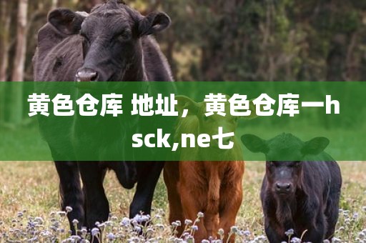 黄色仓库 地址，黄色仓库一hsck,ne七