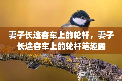 妻子长途客车上的轮杆，妻子长途客车上的轮杆笔趣阁