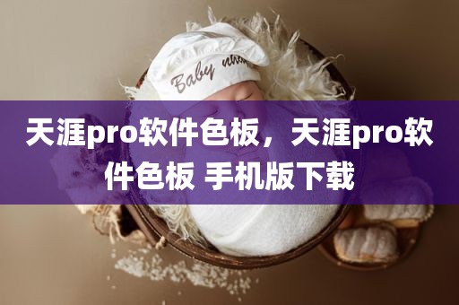 天涯pro软件色板，天涯pro软件色板 手机版下载