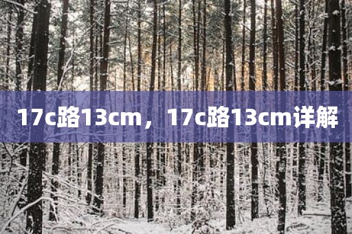 17c路13cm，17c路13cm详解