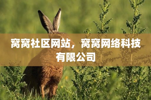 窝窝社区网站，窝窝网络科技有限公司