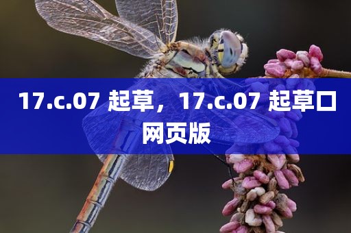 17.c.07 起草，17.c.07 起草口网页版