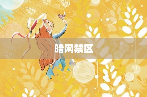 暗网禁区