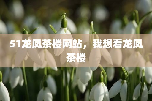 51龙凤茶楼网站，我想看龙凤茶楼