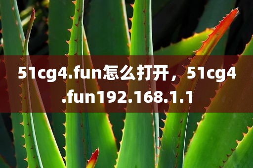 51cg4.fun怎么打开，51cg4.fun192.168.1.1