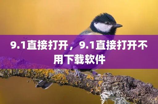 9.1直接打开，9.1直接打开不用下载软件