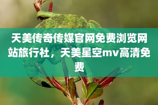 天美传奇传媒官网免费浏览网站旅行社，天美星空mv高清免费
