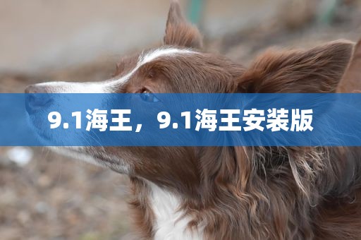 9.1海王，9.1海王安装版