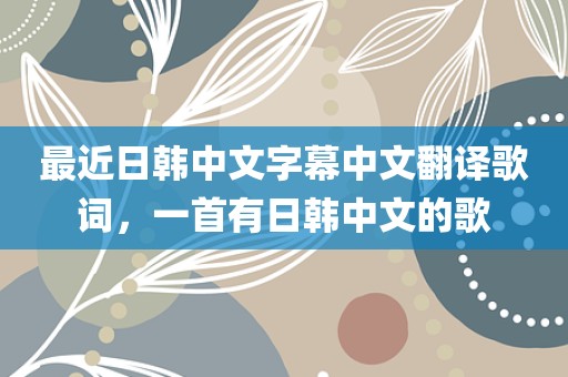 最近日韩中文字幕中文翻译歌词，一首有日韩中文的歌