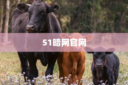 51暗网官网