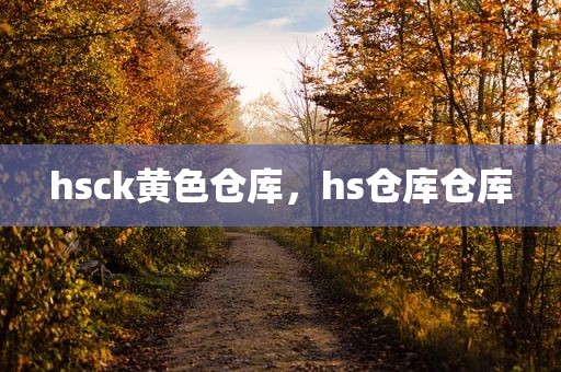 hsck黄色仓库，hs仓库仓库
