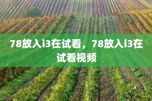78放入i3在试看，78放入i3在试看视频