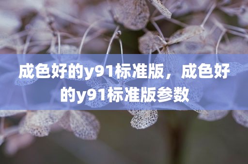 成色好的y91标准版，成色好的y91标准版参数