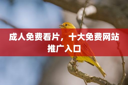 成人免费看片，十大免费网站推广入口