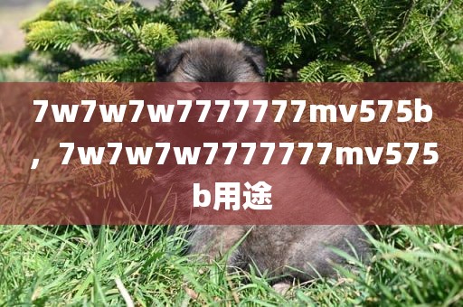 7w7w7w7777777mv575b，7w7w7w7777777mv575b用途