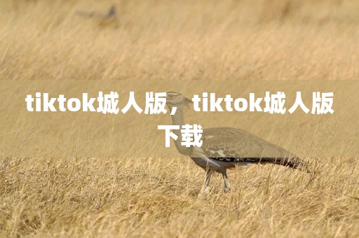 tiktok城人版，tiktok城人版下载