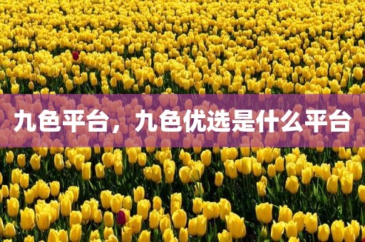 九色平台，九色优选是什么平台