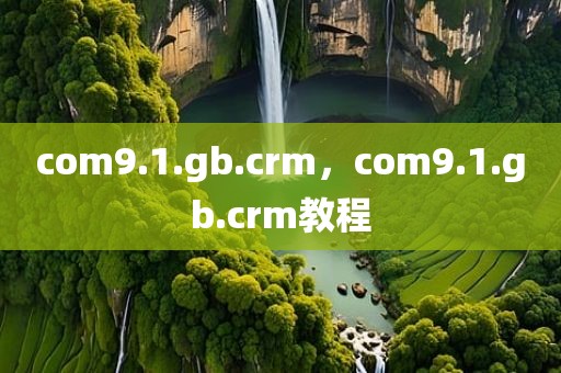 com9.1.gb.crm，com9.1.gb.crm教程