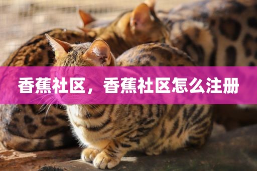 香蕉社区，香蕉社区怎么注册