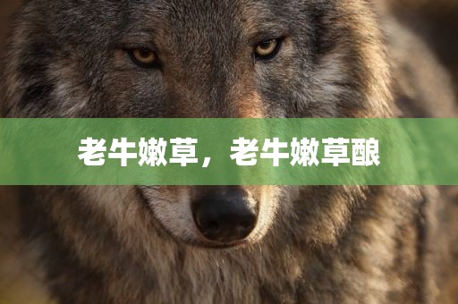 老牛嫩草，老牛嫩草酿