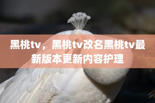 黑桃tv，黑桃tv改名黑桃tv最新版本更新内容护理