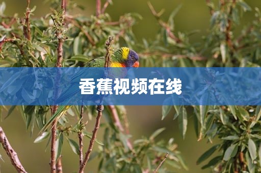香蕉视频在线