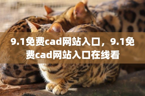 9.1免费cad网站入口，9.1免费cad网站入口在线看