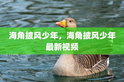 海角披风少年，海角披风少年最新视频