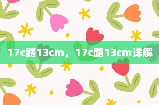 17c路13cm，17c路13cm详解