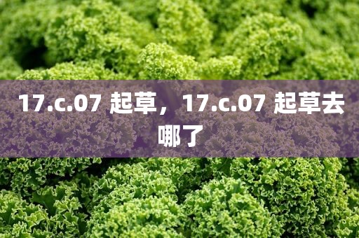 17.c.07 起草，17.c.07 起草去哪了