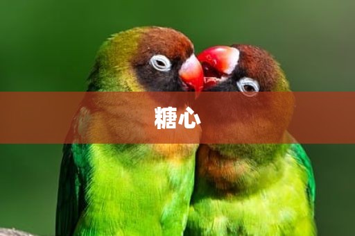 糖心