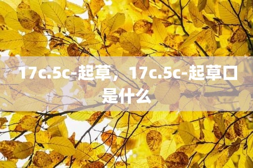 17c.5c-起草，17c.5c-起草口是什么