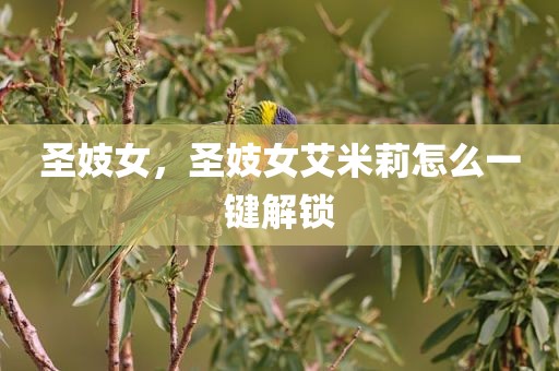 圣妓女，圣妓女艾米莉怎么一键解锁