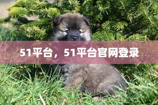 51平台，51平台官网登录